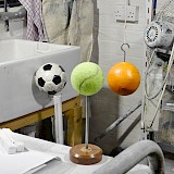 aus der Serie: ways of knowing / © Daniel Stier