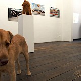 © Anna Kliemann / kulturreich