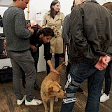 © Anna Kliemann / kulturreich