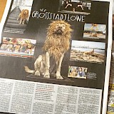 <em>© Anna Kliemann / kulturreich</em>