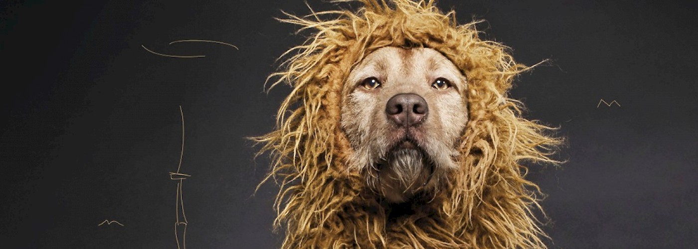 © Julia Marie Werner