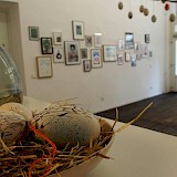 © Anna Kliemann / kulturreich