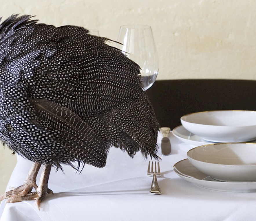 <em>© Markus Bassler / Anja Jahn</em>