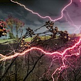 aus der Serie: Dann leben sie noch heute / © Christoph Siegert