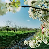 aus der Serie: Dann leben sie noch heute / © Christoph Siegert