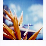 <em>aus der Serie: Multiple 216 / © Christoph Siegert</em>