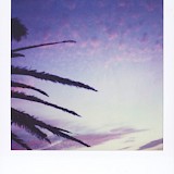 <em>aus der Serie: Multiple 216 / © Christoph Siegert</em>