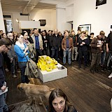 © Julia Marie Werner