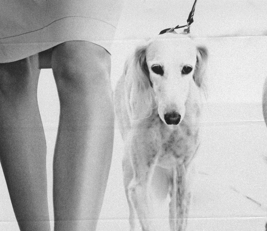 <em>Titel: Deutsch Land / © Andreas Herzau</em>