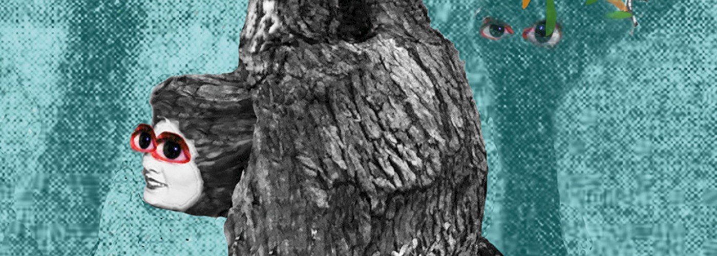 Corinna Chaumeny: Den Wald vor lauter Bäumen nicht sehen