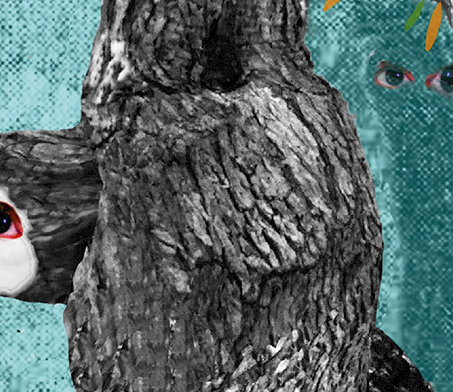 Corinna Chaumeny: Den Wald vor lauter Bäumen nicht sehen