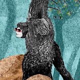 Corinna Chaumeny: Den Wald vor lauter Bäumen nicht sehen