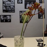 Rückblick: Wir gehen aus! Foto: Michael Wohl-Iffland