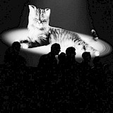 © Maximilian Probst