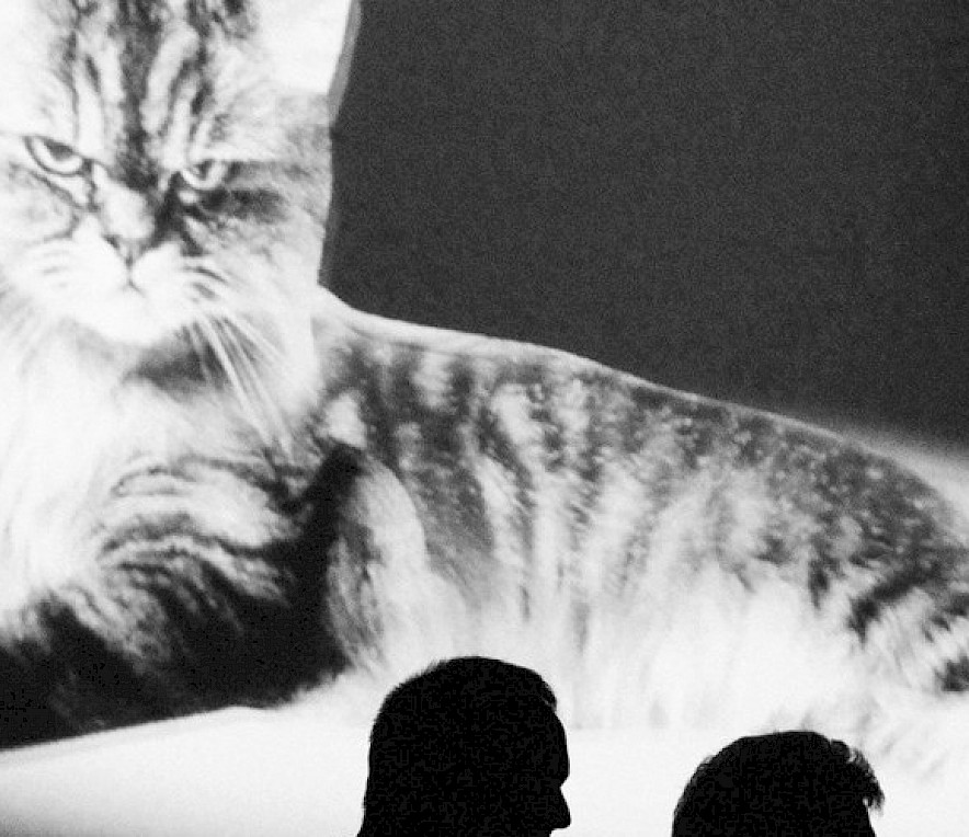 © Maximilian Probst