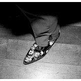 <em> © Daniel Feistenauer </em>