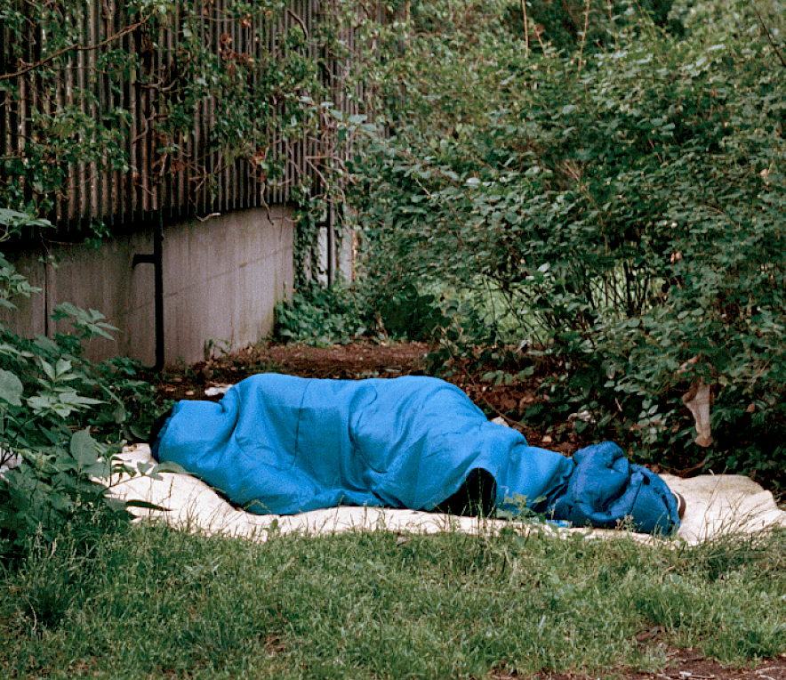 Lars Klingenberg , Tiergarten Berlin, 2017 (Ausschnitt)
